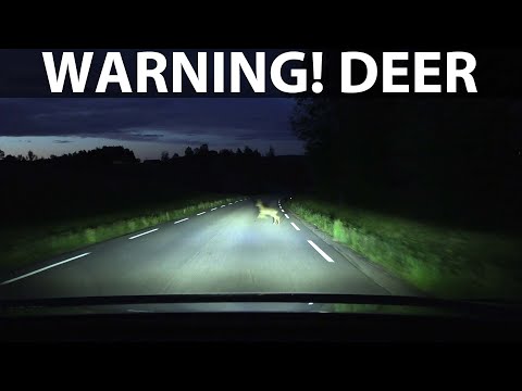 Lexus RZ 450e headlights test