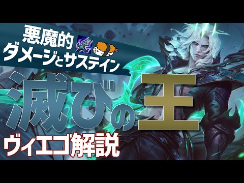 【ヴィエゴ vs フィオラ】この悪魔的ダメージとサステイン！！これが滅びの王！！最強のヴィエゴ講座【DFM Evi解説】