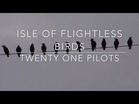 isle of flightless birds - twenty one pilots // lyrics