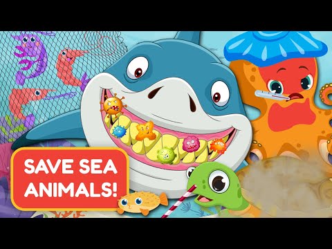Save Sea Animals: Part 2