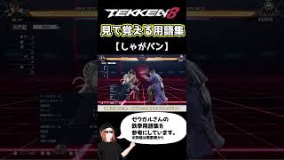 【鉄拳8】見て覚える用語集【しゃがパン】