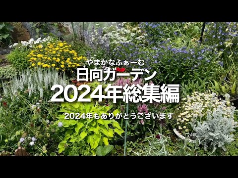 【2024年総集編】日向ガーデンの大改造から、植栽、開花、冬枯れと、季節の移り変わりを一気にお見せします☺️/ 大改造の時の〇〇が超重要ポイント☝️今年もありがとうございます【ガーデニング】