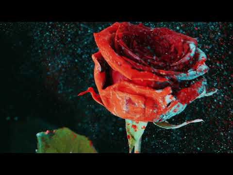 Martin Garrix & David Guetta - So Far Away (feat. Jamie Scott & Romy Dya) (CMC$ Remix)