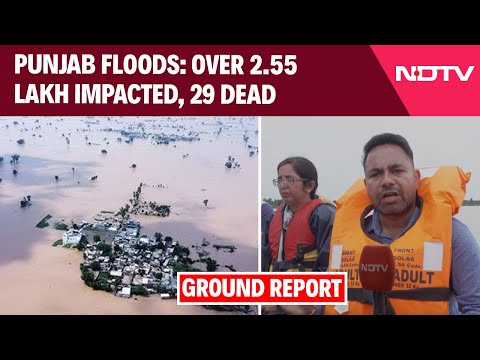 Punjab Floods | Punjab Government: Over 2.55 Lakh Impacted, 29 Dead By Floods