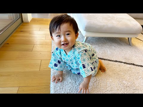 【LIVE】甚平姿で兄猫を探す赤ちゃん