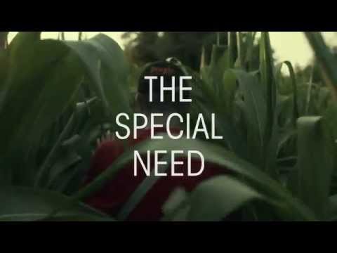 The Special Need'