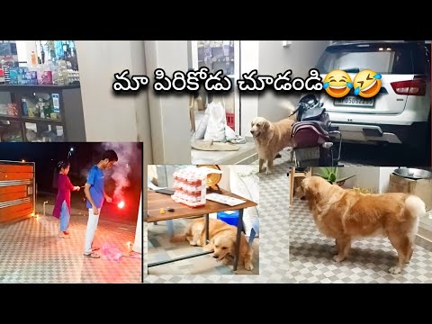 మా🐕పిరికోడిని చూస్తే నవ్వు😂🤣ఆపుకోలేరు/@nageswarakka @RowdyVicky08 