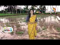 Green Manure Cultivation | పచ్చిరొట్ట పైర్ల సాగుతో పంటకు బలం | Agriculture Tips | 10TV News  - 05:46 min - News - Video