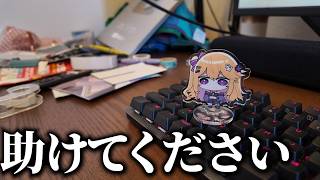 引越しでまともな動画撮れやしねえよルームツアー