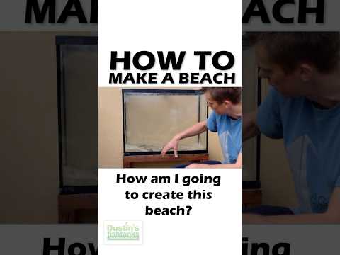 How To Make A Beach PART 1 How to make a beach with your substrate! 👇 Did this help? Have you created something like this? 