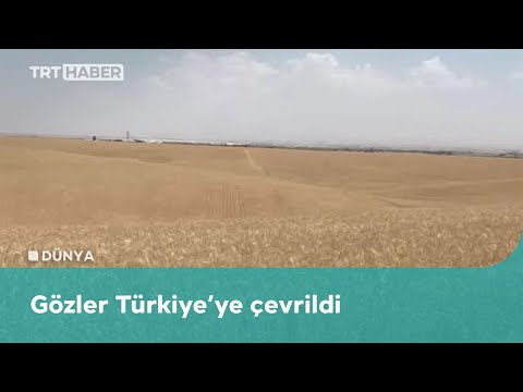 Irak’ta kuraklık tehlikesi