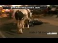 Bull creates terror ,injures 3 , damages vehicles in Srikakulam -Exclusives