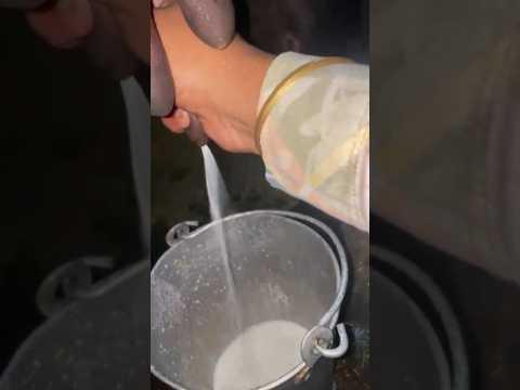 Blocked teat opened with bp blade 11