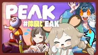 #仲良ピEAK|どうしても登頂してみたいらしい🧗【PEAK】