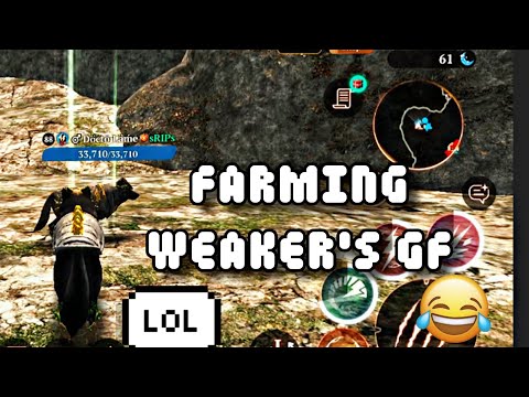 Farming weaker's gf in PvP || The Wolf