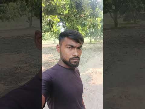 #timelapse start to finish alone log cabin (wooden house) how to build wooden cabin surviva