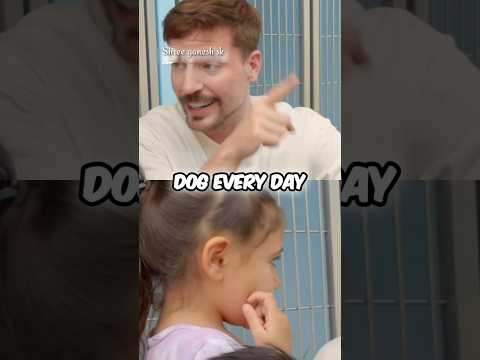 mrbeast Saved 1,000 Animals From Dying ❤️ #mrbeast #mrbeastshorts #mrbeast2025 #ai