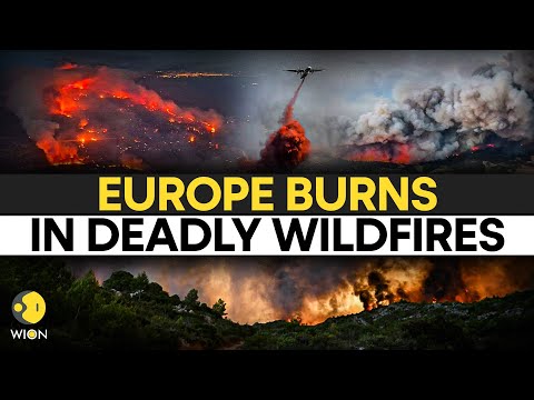 LIVE: Baba Vanga's 'Double Fire' Prediction Coming TRUE? Europe Battles WORST Wildfires in Decades