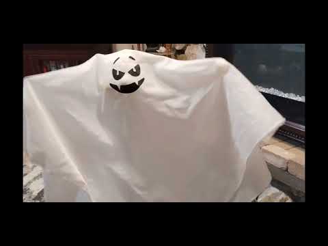 Gemmy Halloween Standing Swaying Shrieking Ghost