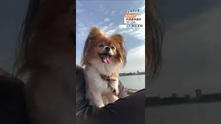 動画サムネイル