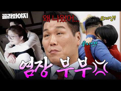 ＂미친 사랑의 노래다...＂ 서장훈 질리게 만든 염장 부부 모음 | 이혼숙려캠프 | JTBC 260521 방송 외