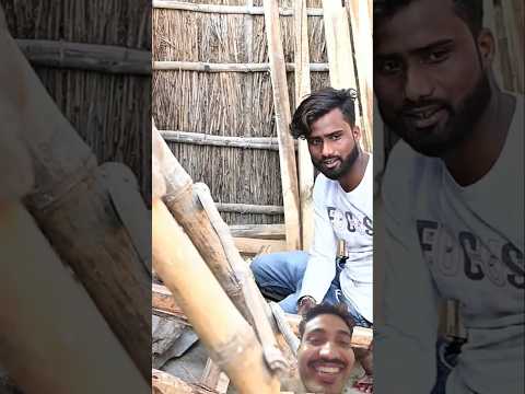 din#esh__# hdd "yy#  ll #Phagua | फगुआ | Mani Meraj Vines |