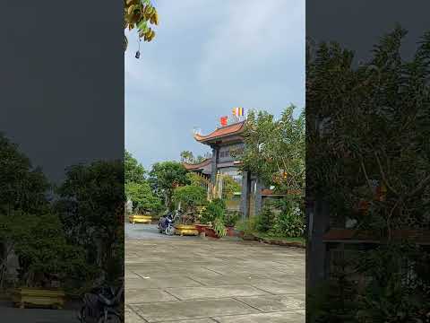 chùa Quan Âm ,Cần Giuộc. #nhachaymoingay #loivangphatdaythichphaphoa #suhuong