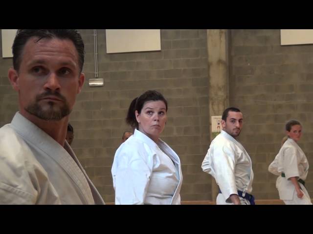 Club de karaté traditionnel d'Okinawa représentant la fédération internationale de karate Goju-ryu.