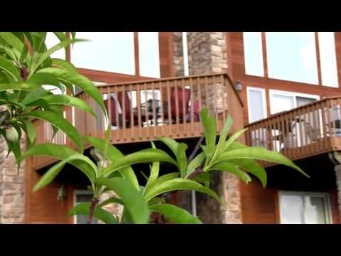 Property video