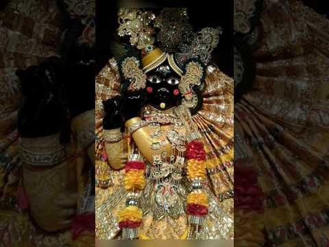 बोलो वृंदावन श्री बांके बिहारी लाल की जय ||Vrindavan #bankebihari#shyam #radhakrishna #treanding