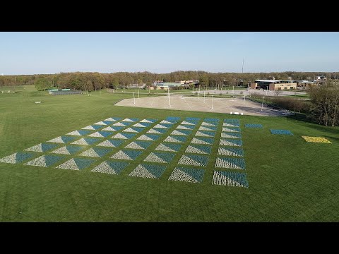 Aerial footage of 47,000 marker flag installed in the shape of a graduation cap. Aerial footage of 47,000 marker flag installed in the shape of a graduation cap.