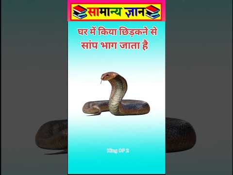 घर में किया खाने से #viral #facts #videos