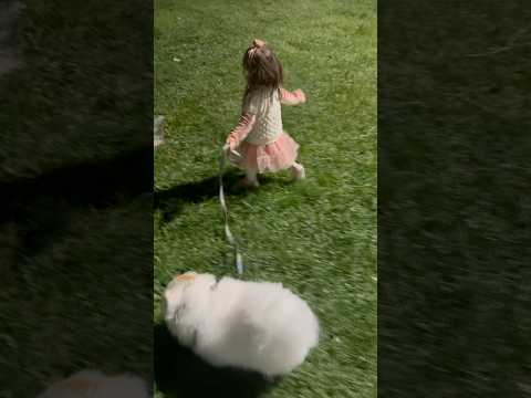 İncila mişayı aldı gidiyor 😂🥰#köpek #keşfetbeniöneçıkar #viralvideo #baby #music #hiphop #rap