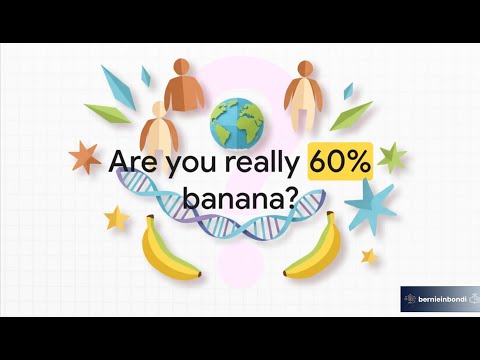 Yes, you are related to a banana!  And every other living thing.