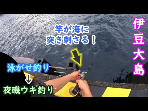 【伊豆大島】桟橋泳がせ釣り→夜磯ウキ釣り【2024年10月下旬】