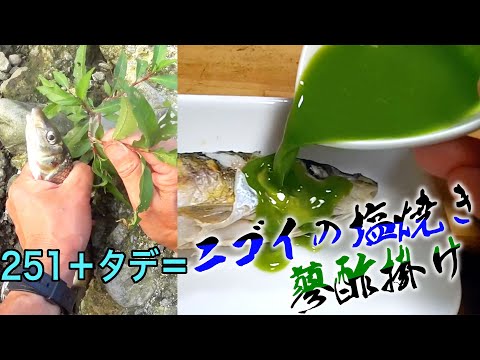 ニゴイ釣堀でドバミミズ餌で釣りをするとどうなるか？