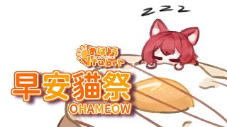 【#早安貓祭】早起的罐罐有貓祭看 #貓祭 #vtuber