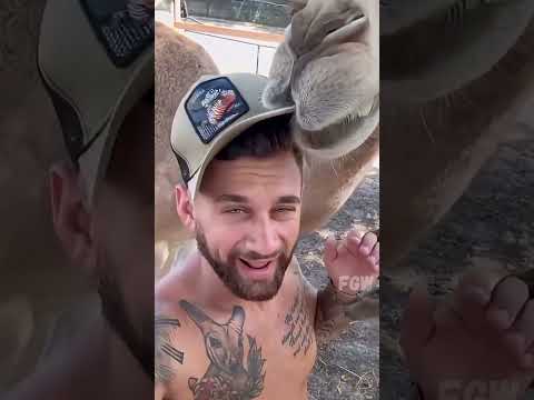 My Pet is a Mess, I Can't Stop Laughing #funny #animals #shorts