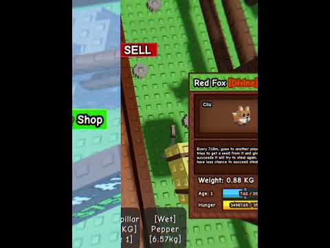 200T (rugi gk?) #roblox #fypシ゚viral #memes