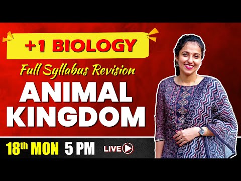 Plus one Complete Revision | Biology | Animal Kingdom | Exam Winner
