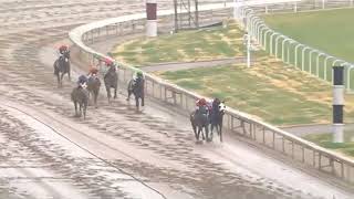 RACE1- CHURCHILL DOWNS- 19 NOV 25