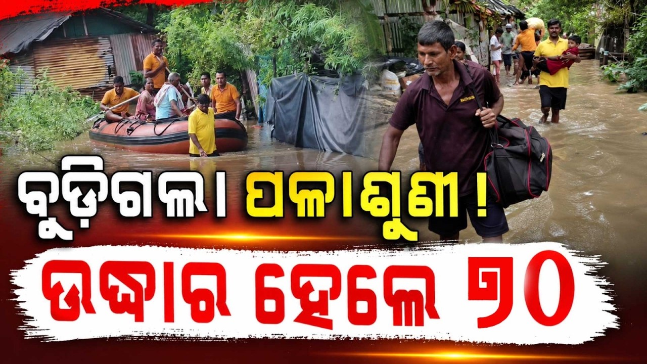 ବୁଡ଼ିଗଲା ପଳାଶୁଣୀ ! | 70 People Rescued From Flood Near Gangua Bridge In Bhubaneswar By Fire Team