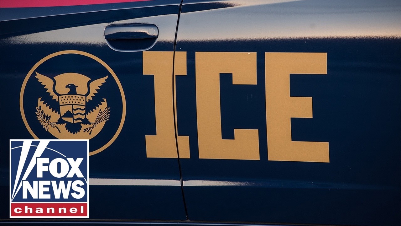 Anti-ICE protests ORGANIZED by far-left groups: report