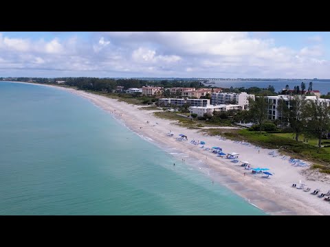 Somewhere on Florida's West Coast - Overview