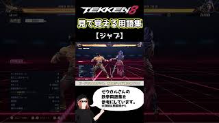 【鉄拳8】見て覚える用語集【ジャブ】
