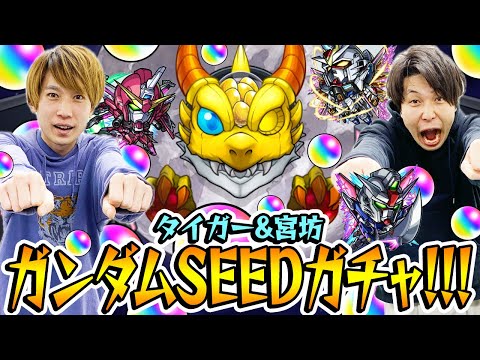 【モンスト】M4タイガー桜井&宮坊のガンダムSEED FREEDOMコラボガチャ！キラ&ラクス/アスラン/シン狙い！【ガンダムコラボ第2弾】