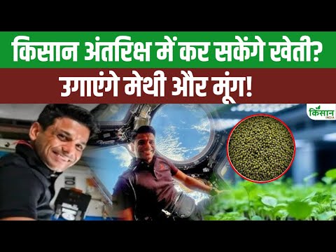 Shubhanshu Shukla का Space में जलवा, उगाए मेथी और मूंग के बीज, ये हैं कारण! ISS | Axiom 4 Mission