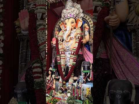 RS Palya Ganapati CarFestival #ganesh #carfestival #ganeshchaturthi #trending #shorts