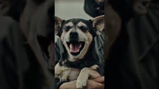 Премьера клипа! КАССЕТА, Черная Экономика — ХАХАХА