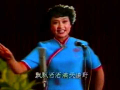 我爱你,塞北的雪-彭丽媛